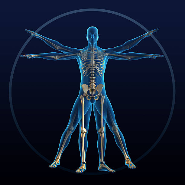 Physiology 1 - Full Material