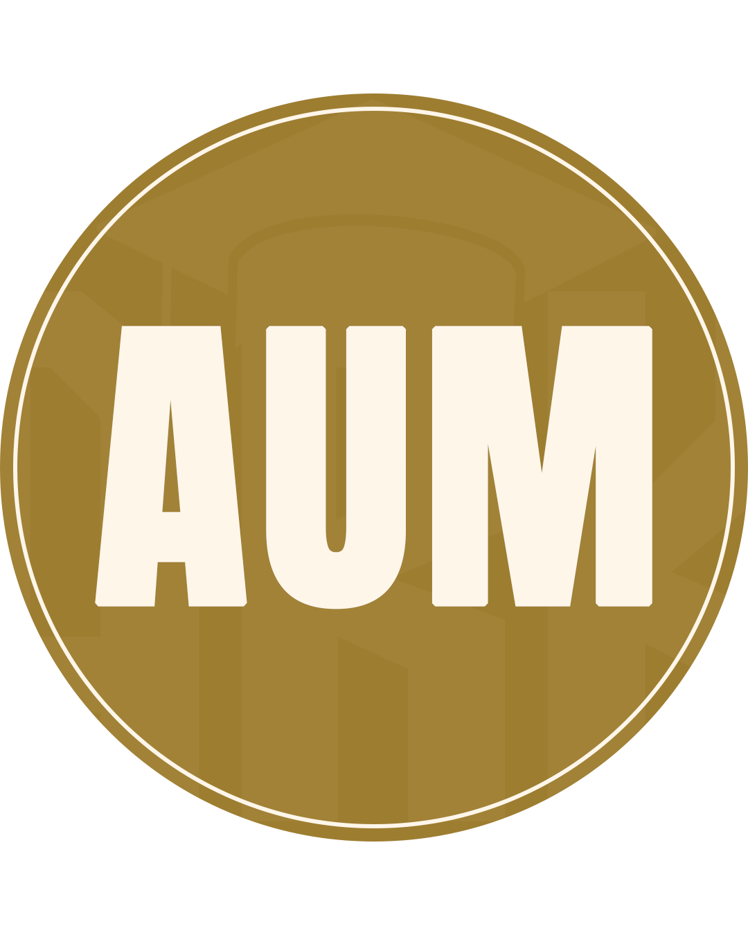 The American University of Madaba icon
